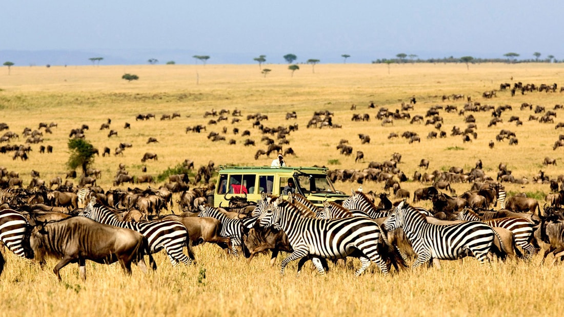 Serengeti Sunset Safari